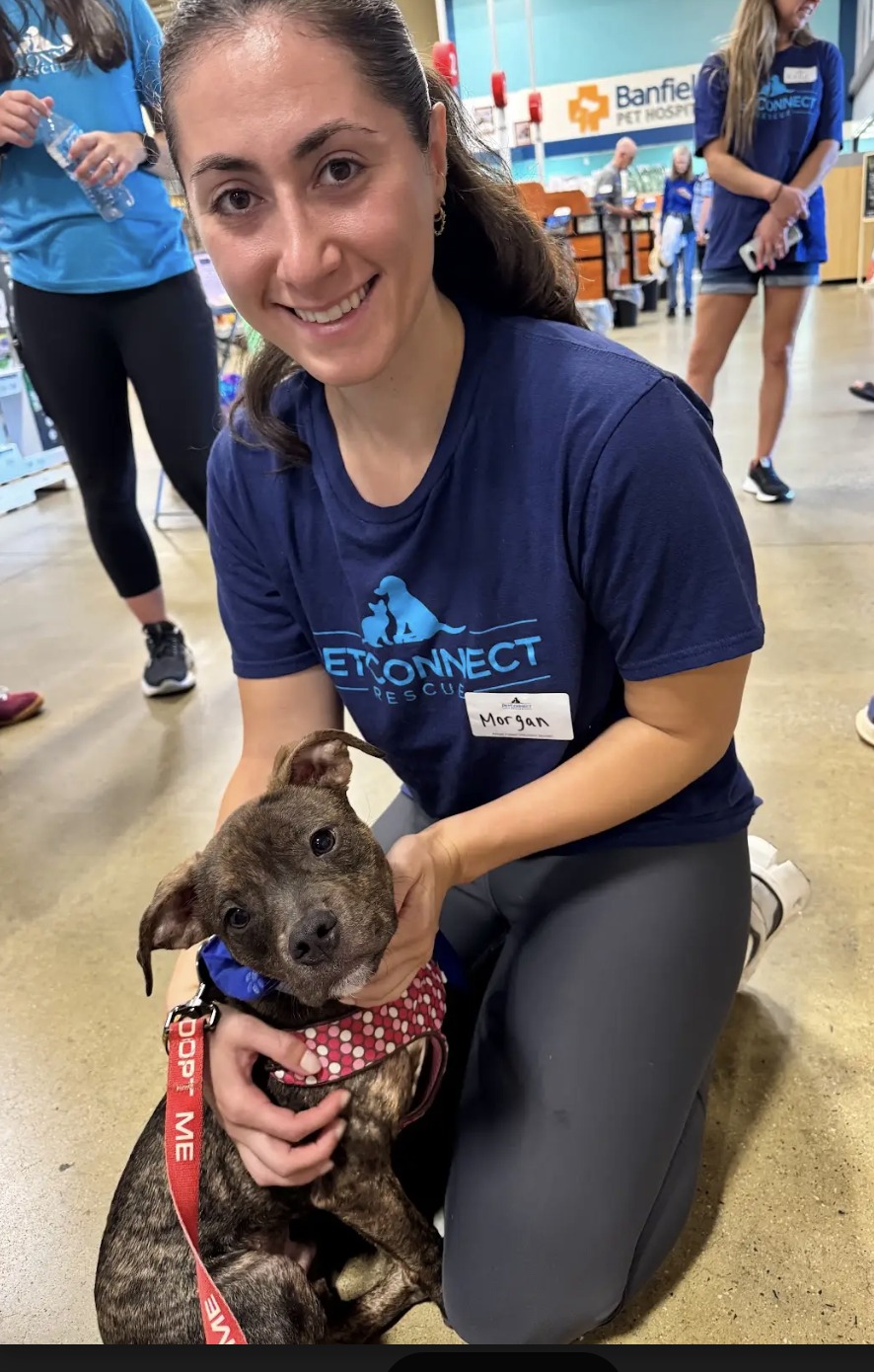 Governance documents